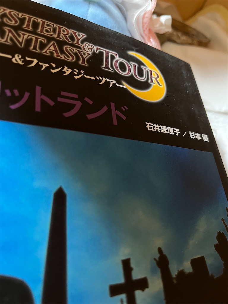 f:id:manjiro_omukaedoll:20251228204842j:image