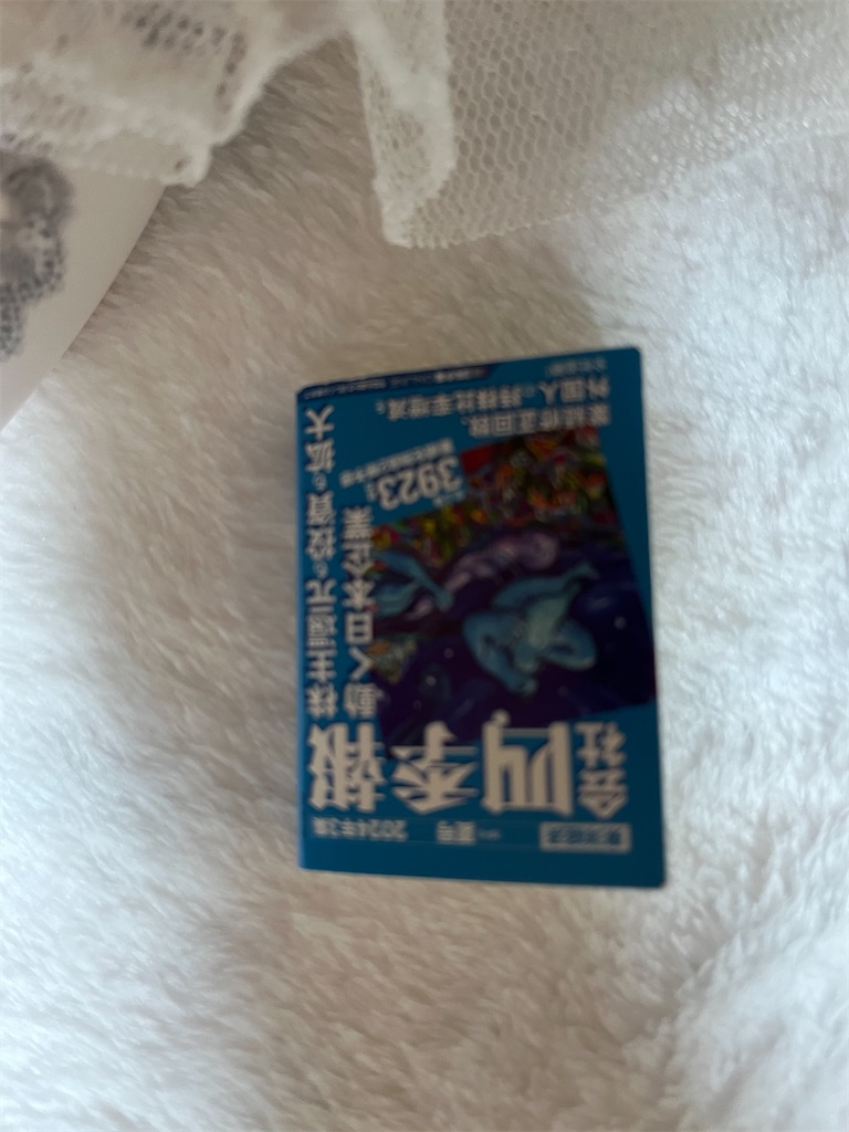 f:id:manjiro_omukaedoll:20251228204921j:image