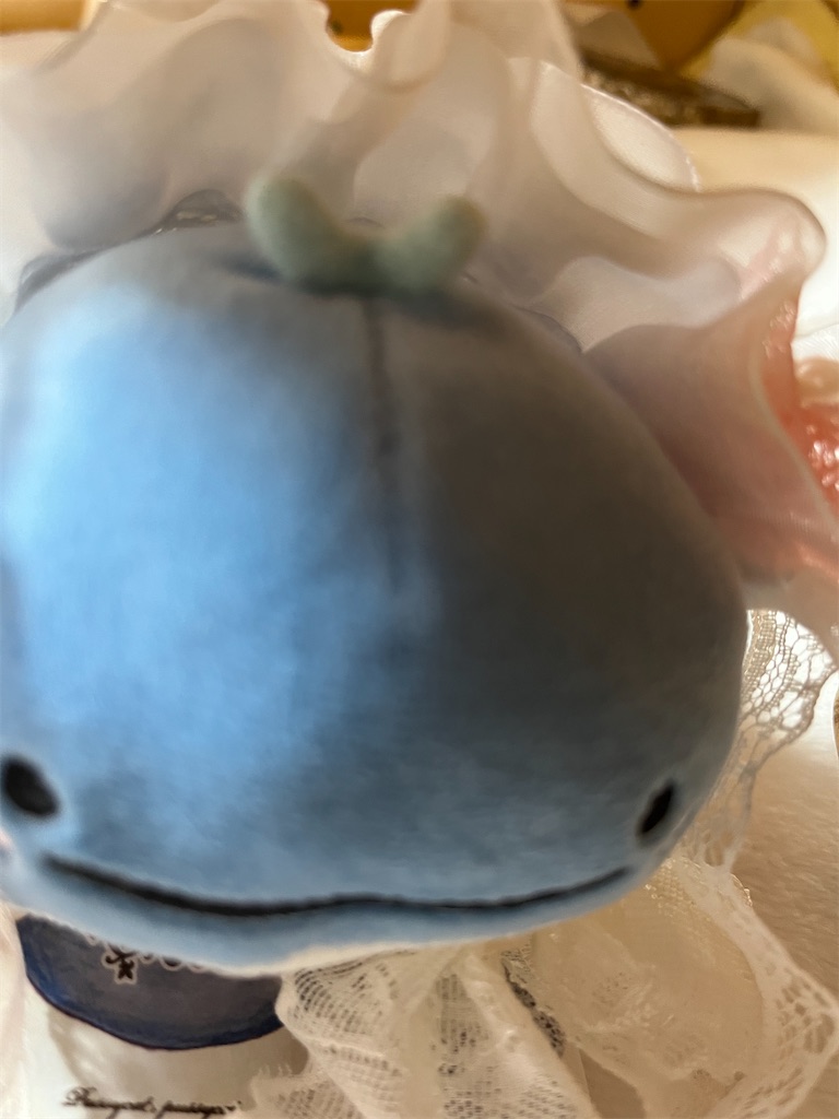 f:id:manjiro_omukaedoll:20251228204940j:image