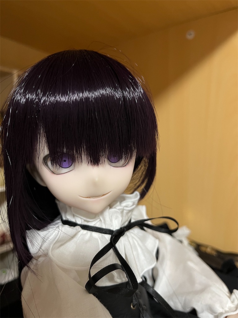 f:id:manjiro_omukaedoll:20251228204943j:image