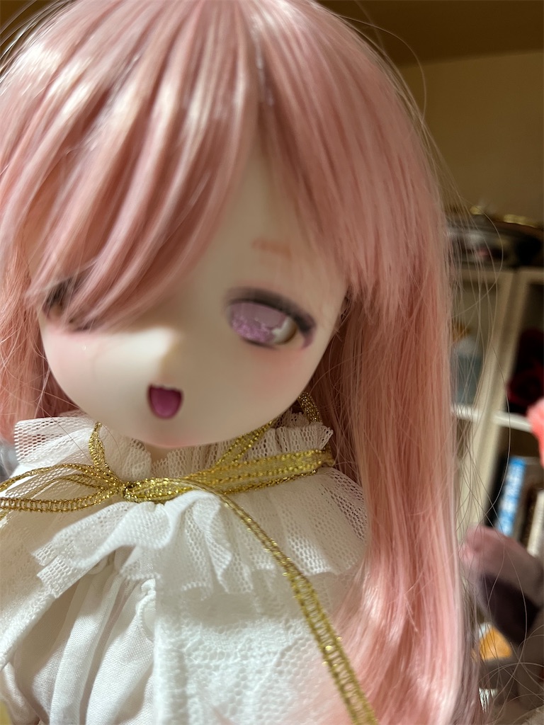 f:id:manjiro_omukaedoll:20251228204947j:image