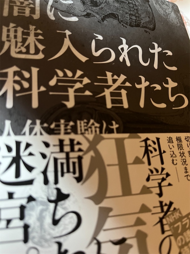 f:id:manjiro_omukaedoll:20251228205041j:image