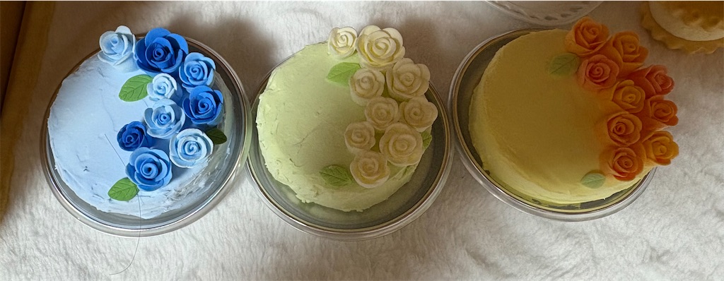 f:id:manjiro_omukaedoll:20260106213701j:image