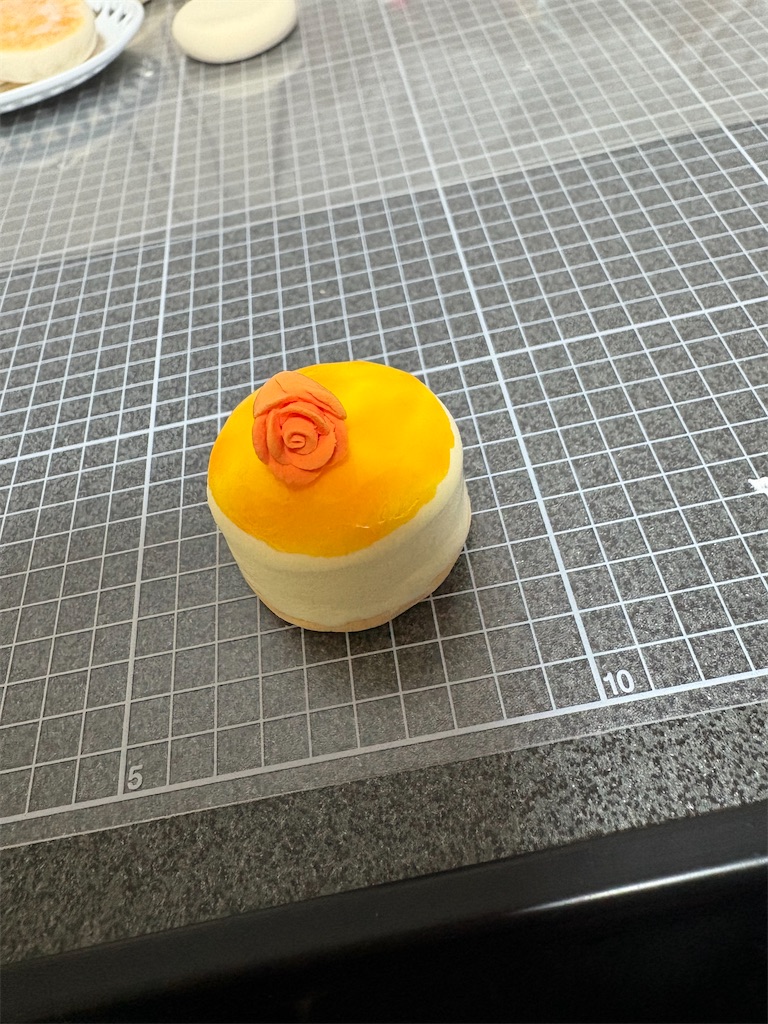 f:id:manjiro_omukaedoll:20260106213743j:image