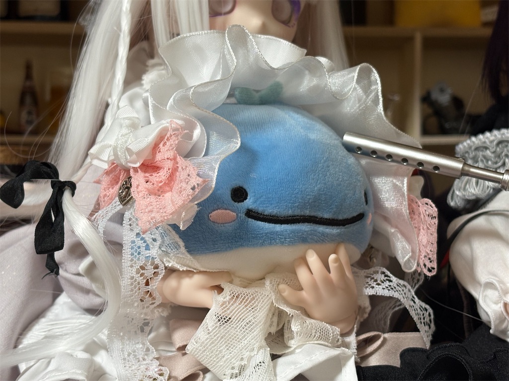 f:id:manjiro_omukaedoll:20260108184800j:image