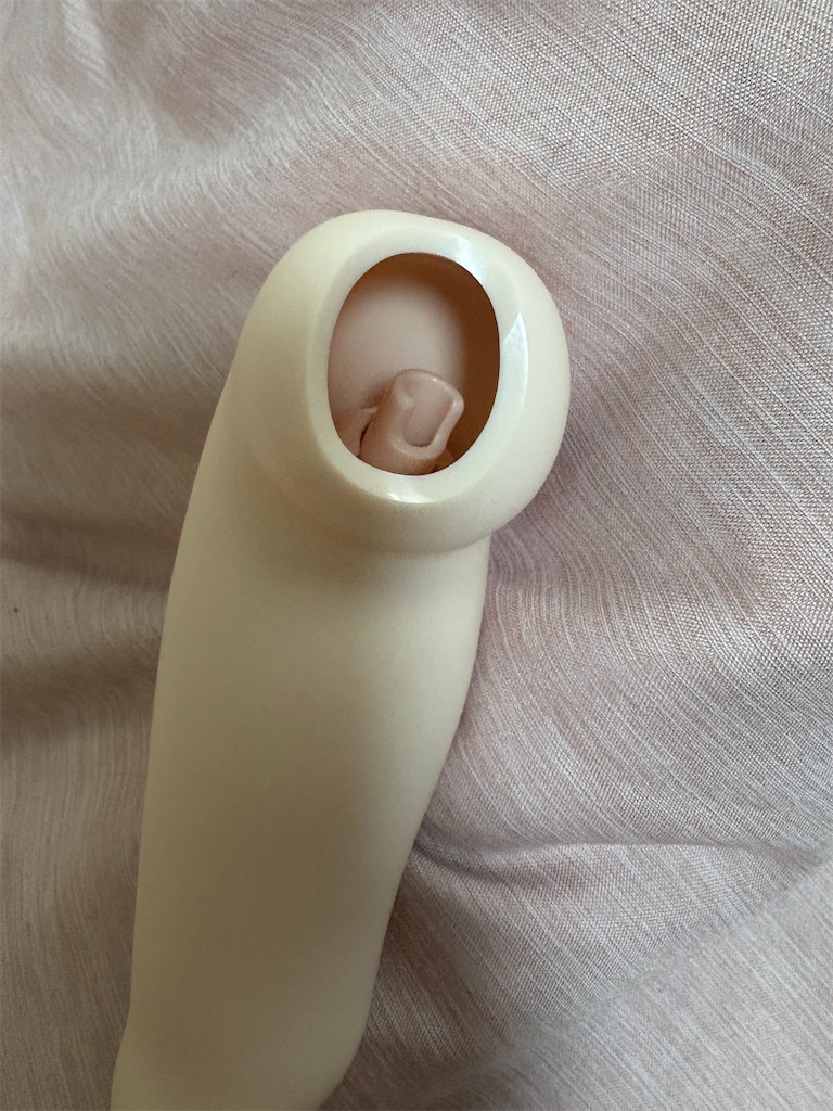 f:id:manjiro_omukaedoll:20260108184854j:image