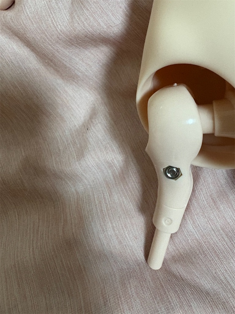 f:id:manjiro_omukaedoll:20260108184955j:image