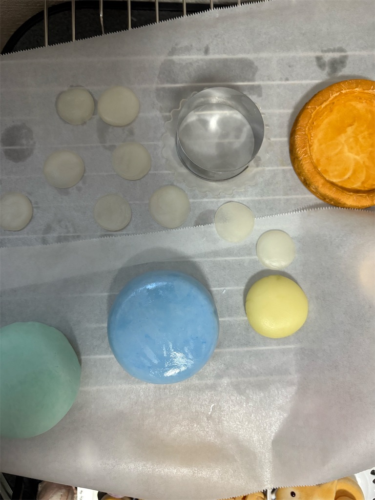 f:id:manjiro_omukaedoll:20260117180548j:image