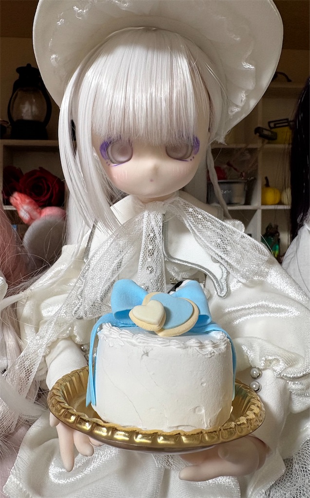 f:id:manjiro_omukaedoll:20260117180904j:image