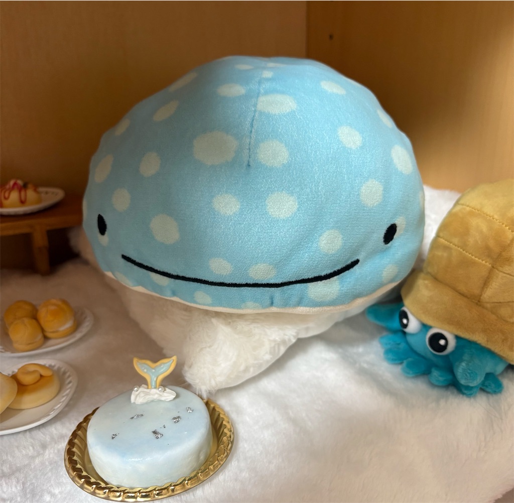 f:id:manjiro_omukaedoll:20260122075417j:image