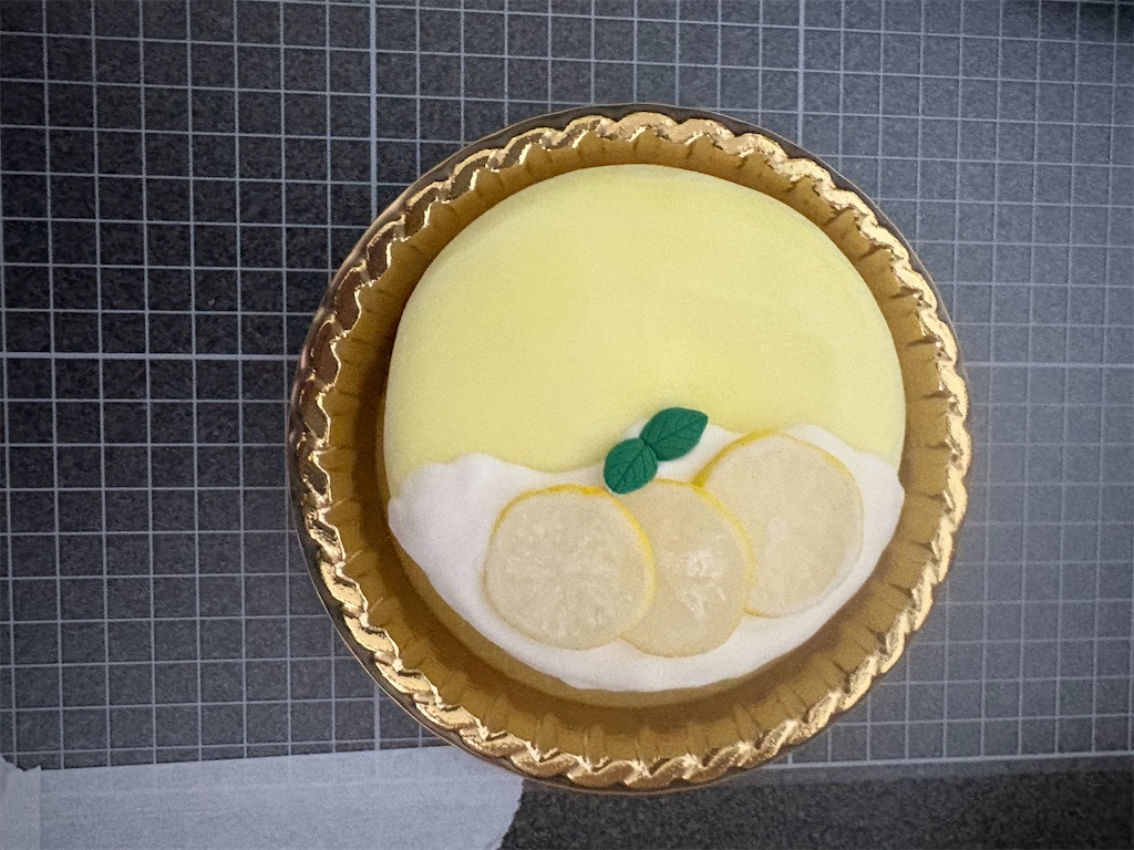 f:id:manjiro_omukaedoll:20260122075941j:image