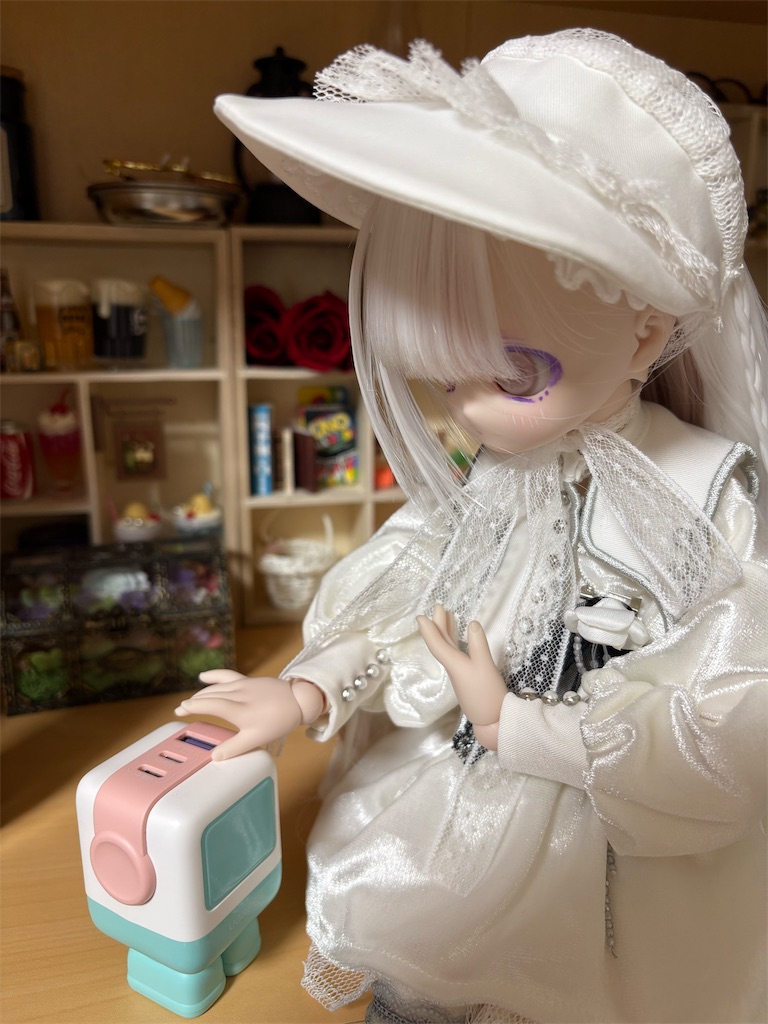 f:id:manjiro_omukaedoll:20260128191911j:image