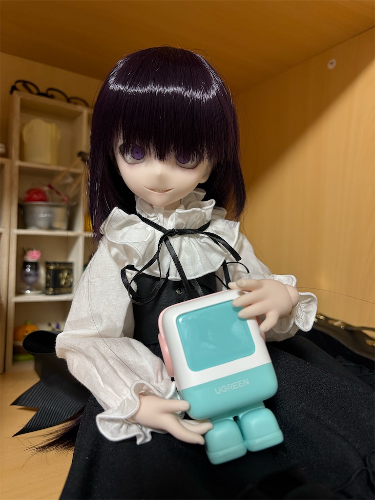 f:id:manjiro_omukaedoll:20260128191913j:image