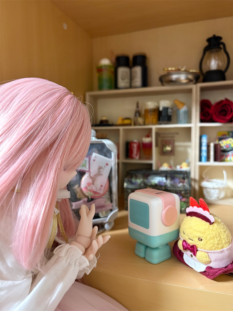 f:id:manjiro_omukaedoll:20260128191917j:image