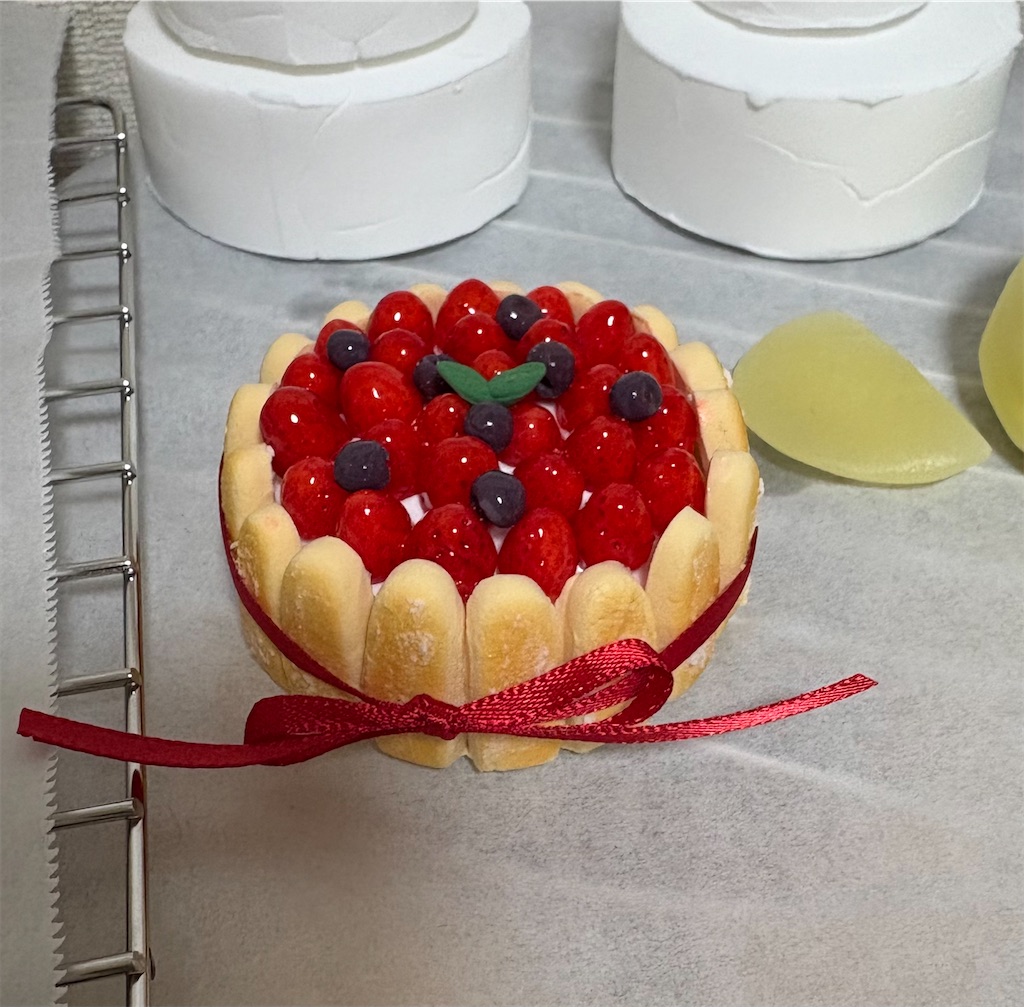 f:id:manjiro_omukaedoll:20260203195540j:image