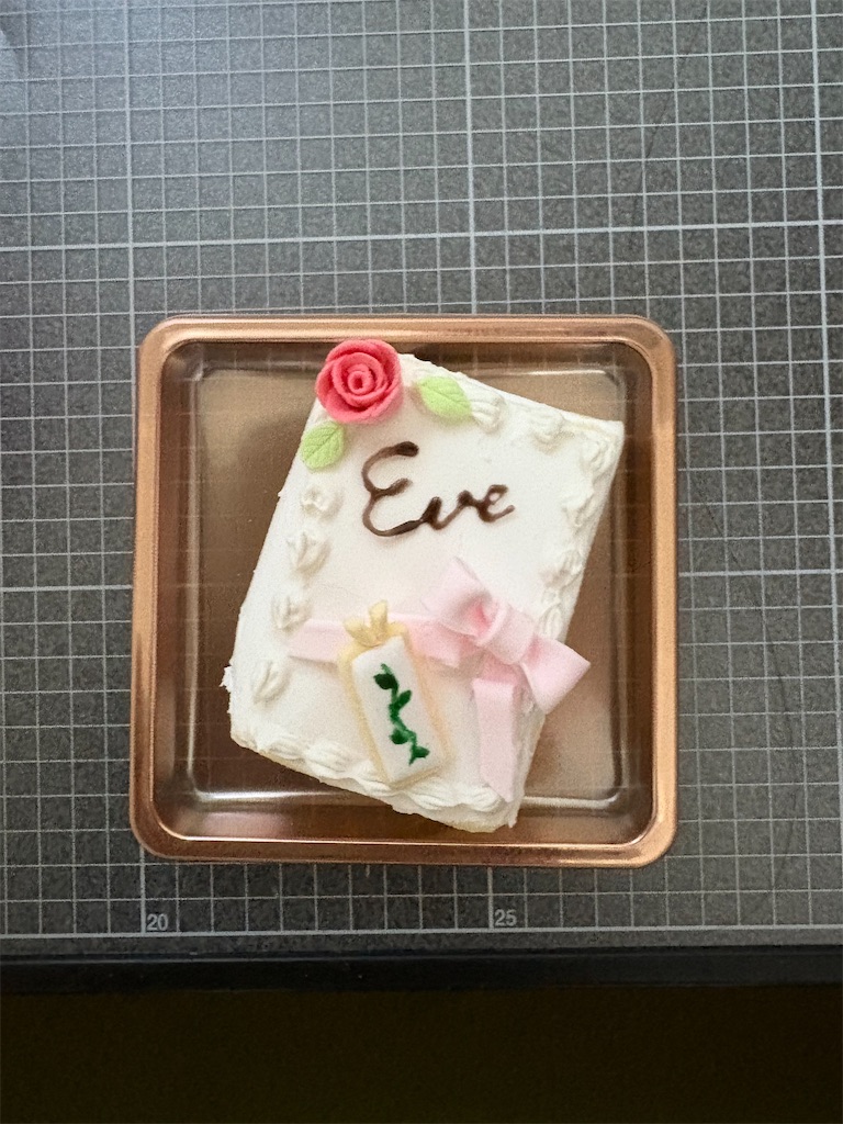 f:id:manjiro_omukaedoll:20260203195555j:image