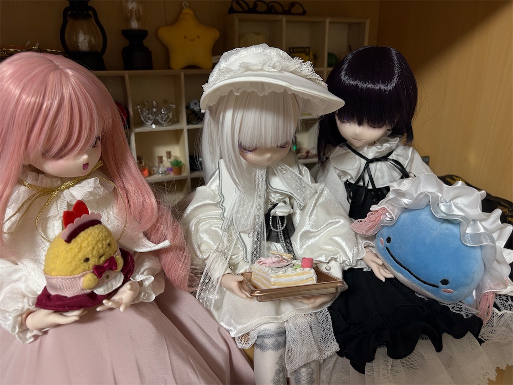 f:id:manjiro_omukaedoll:20260203195605j:image