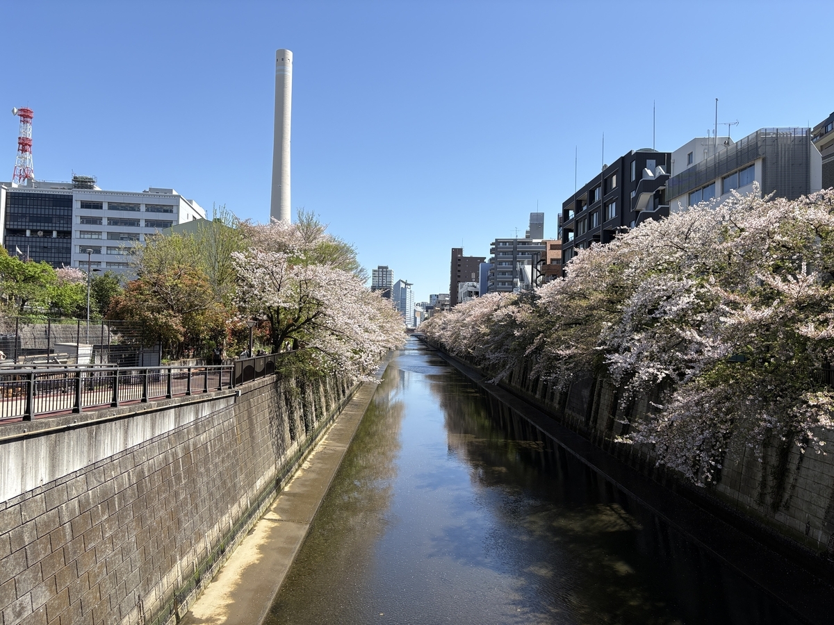 まだまだ桜が楽しめた目黒川〜nakameguro SLOW TABLE（東京・中目黒）〜 - 手帳なわたし