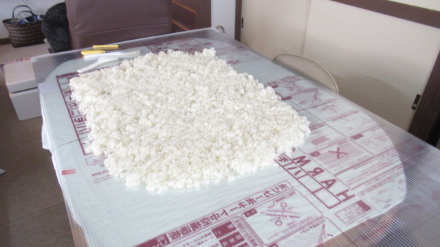 f:id:mankaihanataro:20190311144831j:plain f:id:mankaihanataro:20190311144831j:plain