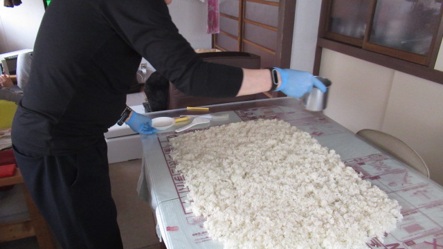 f:id:mankaihanataro:20190311145902j:plain f:id:mankaihanataro:20190311145902j:plain