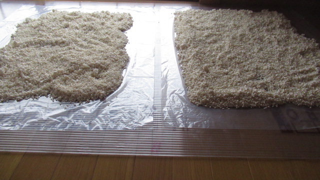 f:id:mankaihanataro:20190318155625j:plain f:id:mankaihanataro:20190318155625j:plain
