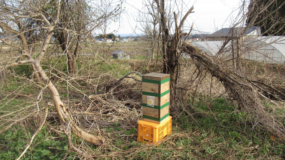 f:id:mankaihanataro:20190503233232j:plain f:id:mankaihanataro:20190503233232j:plain