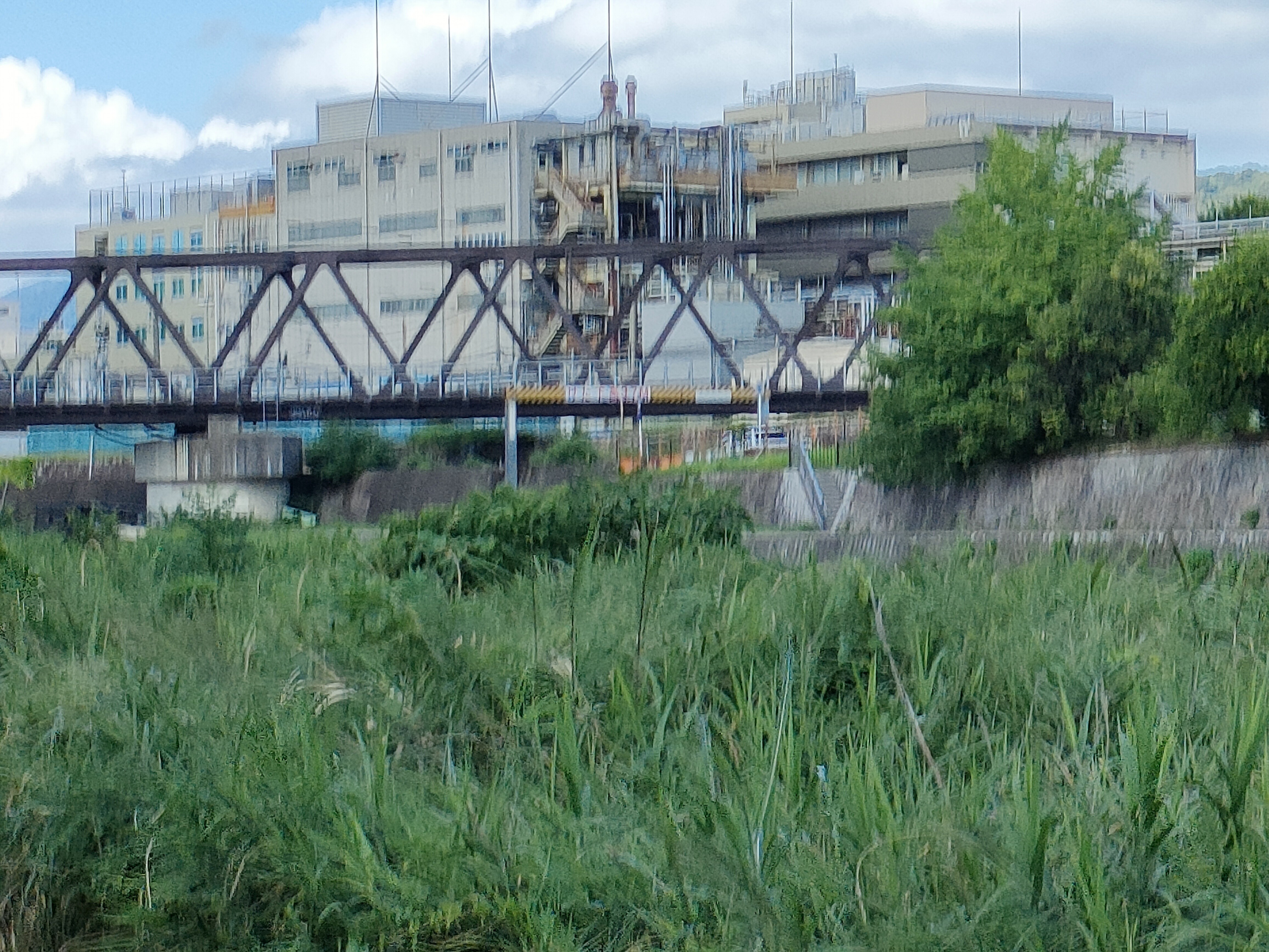 f:id:manmamij:20250720160240j:image