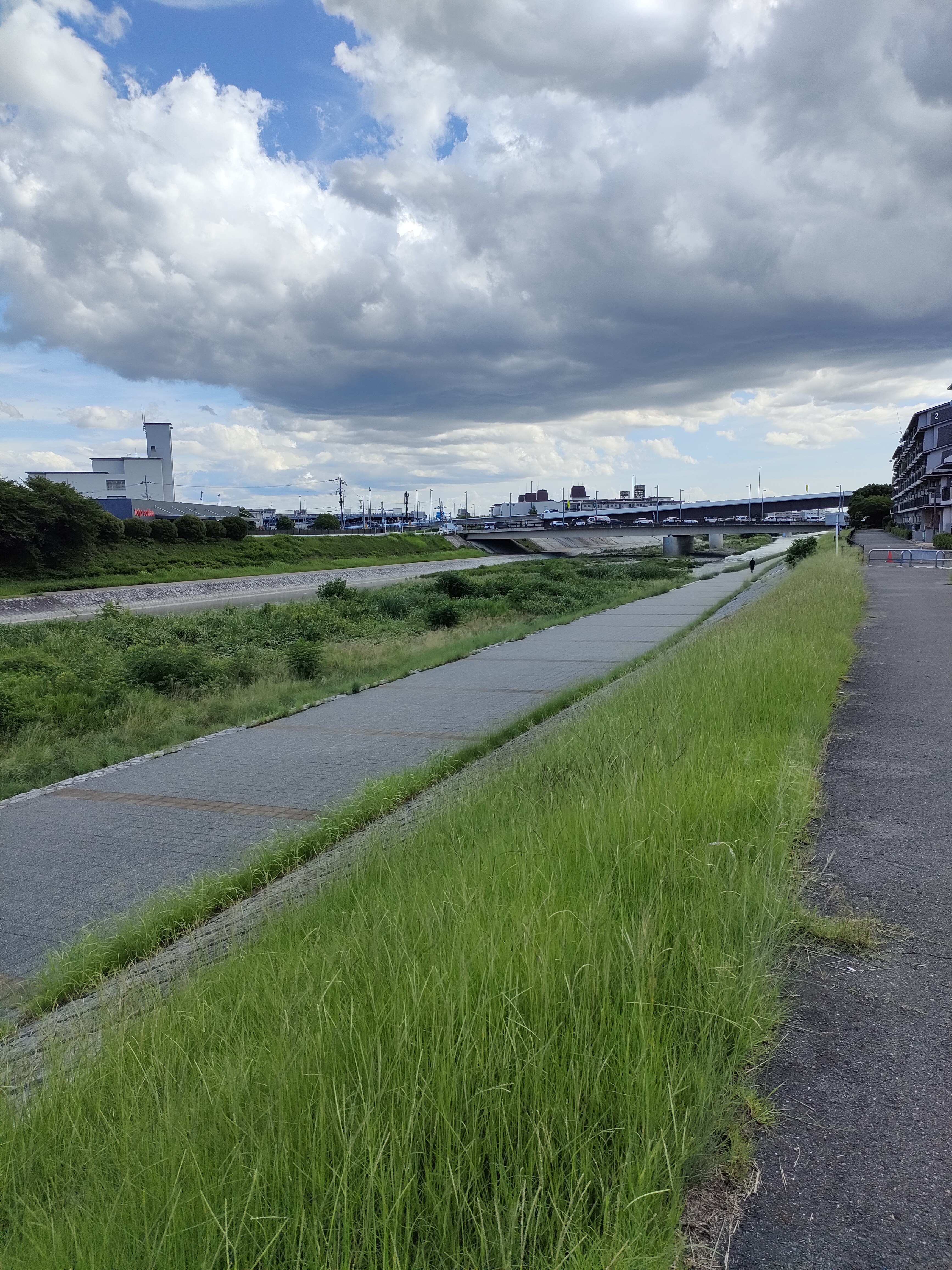 f:id:manmamij:20250720160245j:image