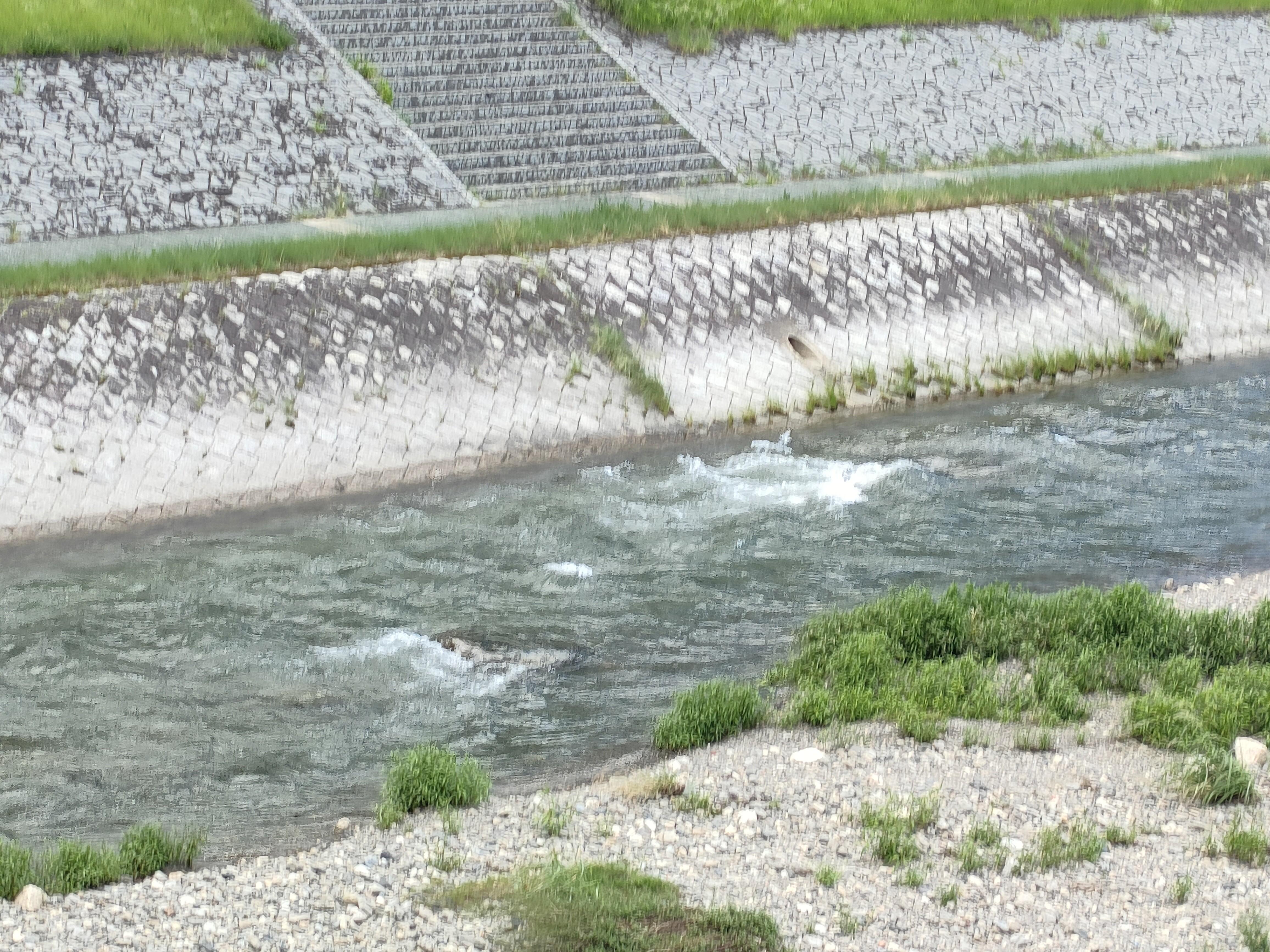 f:id:manmamij:20250720160320j:image