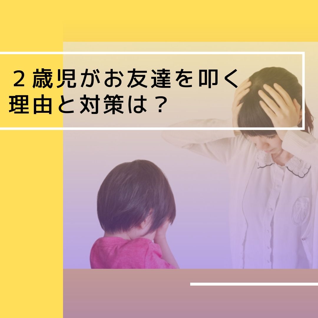 2歳児が他の子を叩く 理由と対策
