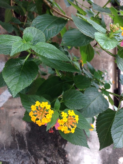 image-06-03-16-10-53