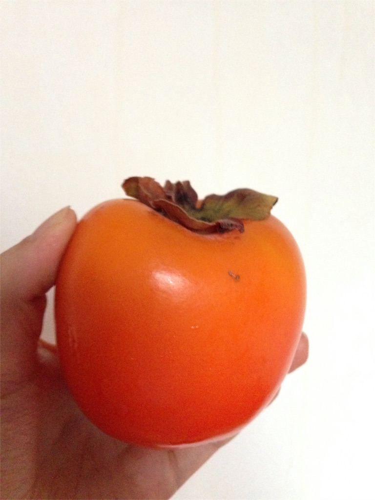 f:id:manmaru_hanako:20161226232417j:image