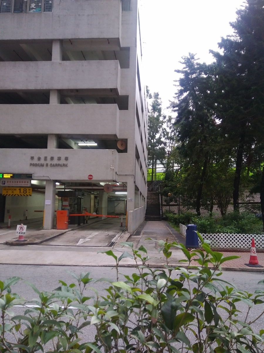 f:id:manmaru_hanako:20190419194750j:plain