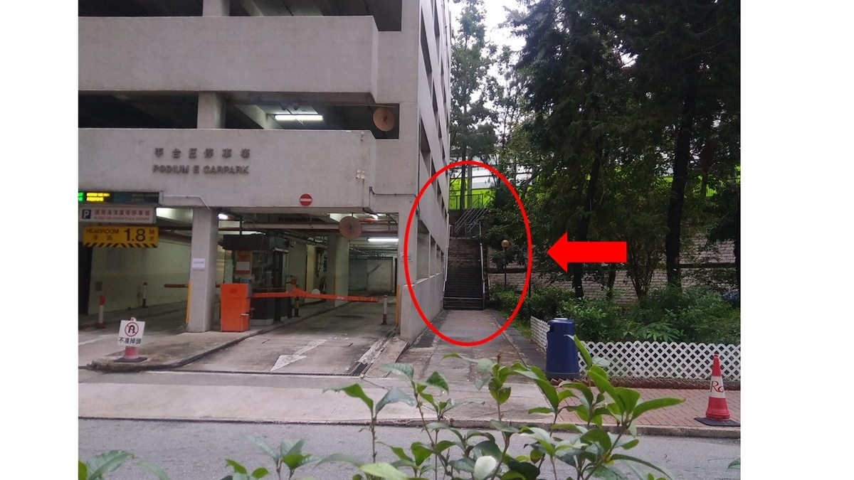 f:id:manmaru_hanako:20190419194917j:plain