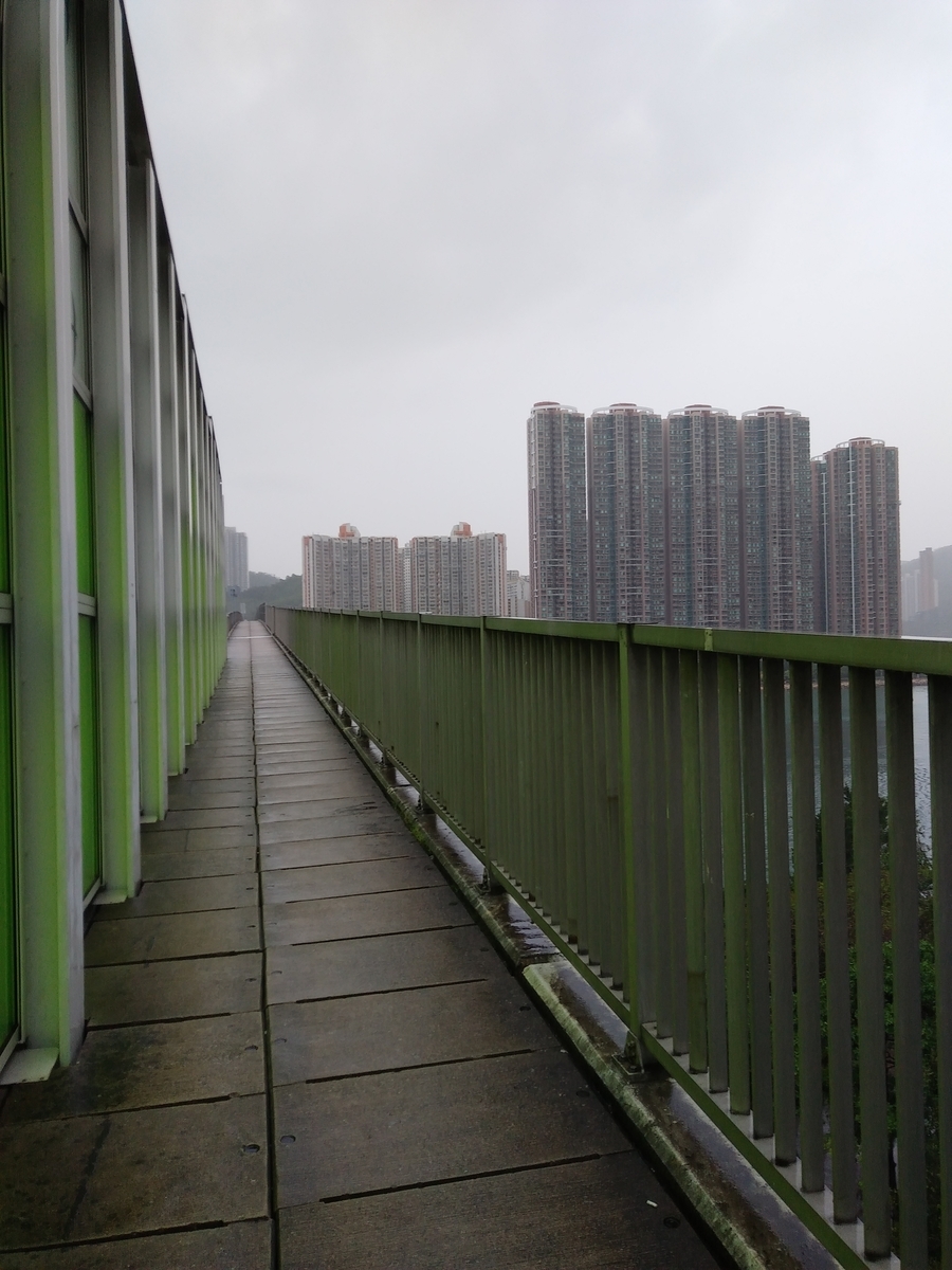 f:id:manmaru_hanako:20190419200044j:plain