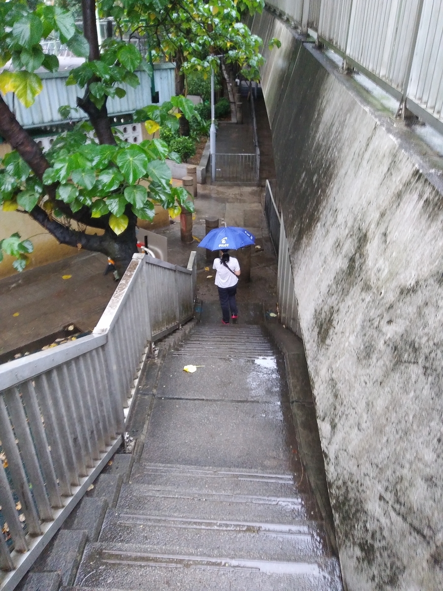 f:id:manmaru_hanako:20190419201203j:plain