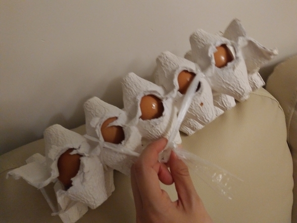 f:id:manmaru_hanako:20190814160727j:plain f:id:manmaru_hanako:20190814160727j:plain