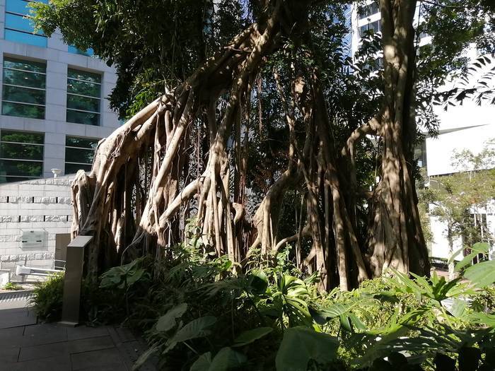 f:id:manmaru_hanako:20200107200045j:plain f:id:manmaru_hanako:20200107200045j:plain