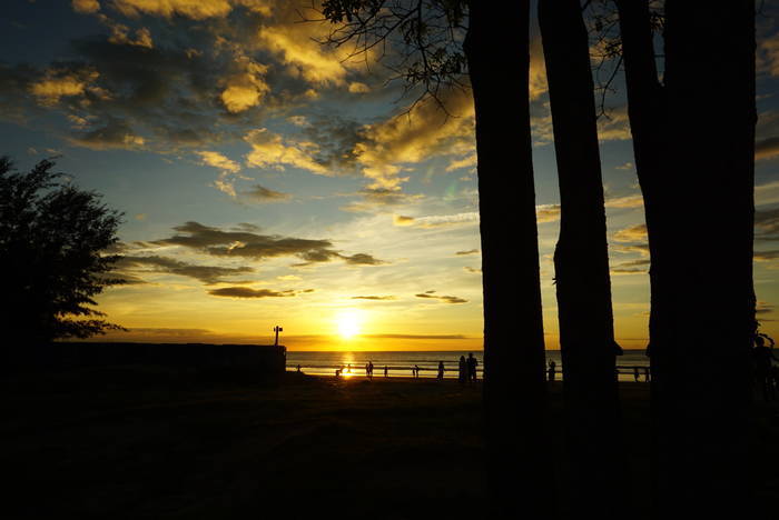 f:id:manmaru_hanako:20200112003039j:plain f:id:manmaru_hanako:20200112003039j:plain