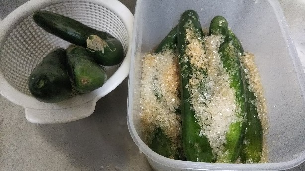 f:id:manmaruheart:20190825220149j:plain f:id:manmaruheart:20190825220149j:plain