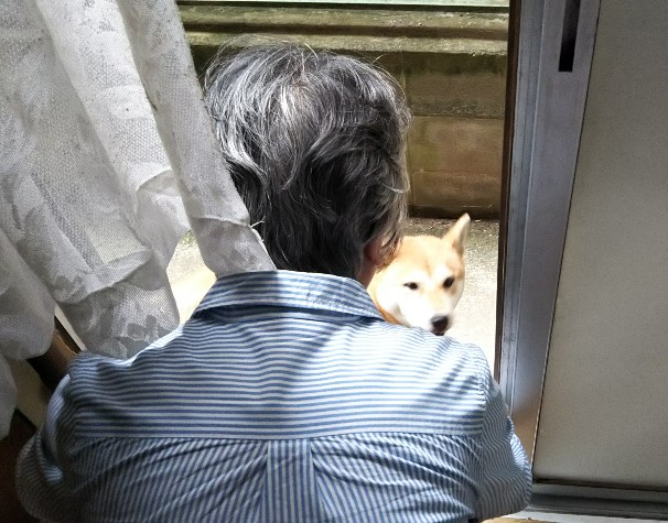 f:id:manmaruheart:20190921210623j:plain f:id:manmaruheart:20190921210623j:plain