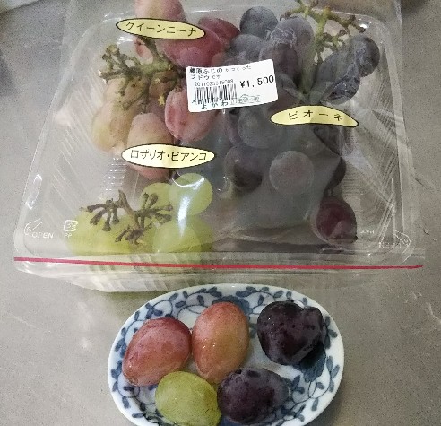 f:id:manmaruheart:20190921213812j:plain f:id:manmaruheart:20190921213812j:plain