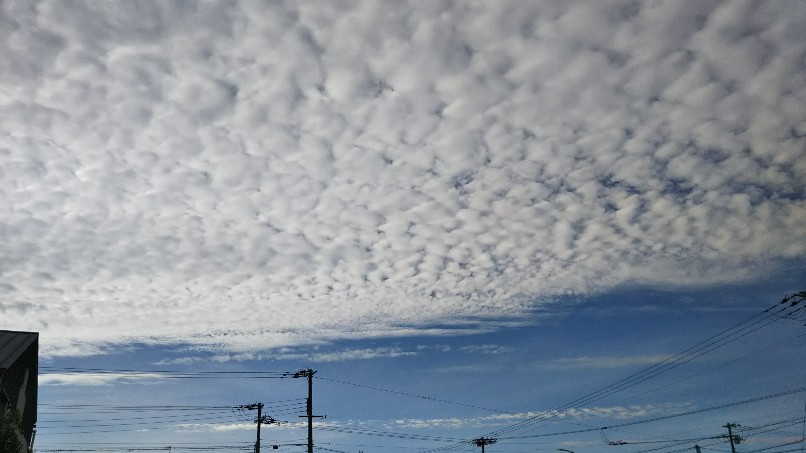 f:id:manmaruheart:20190921220455j:plain f:id:manmaruheart:20190921220455j:plain