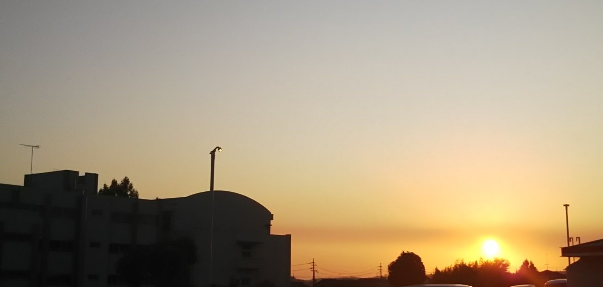 f:id:manmaruheart:20191031205401j:plain