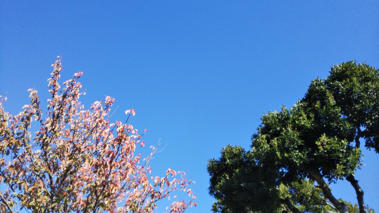 f:id:manmaruheart:20201031131045j:plain