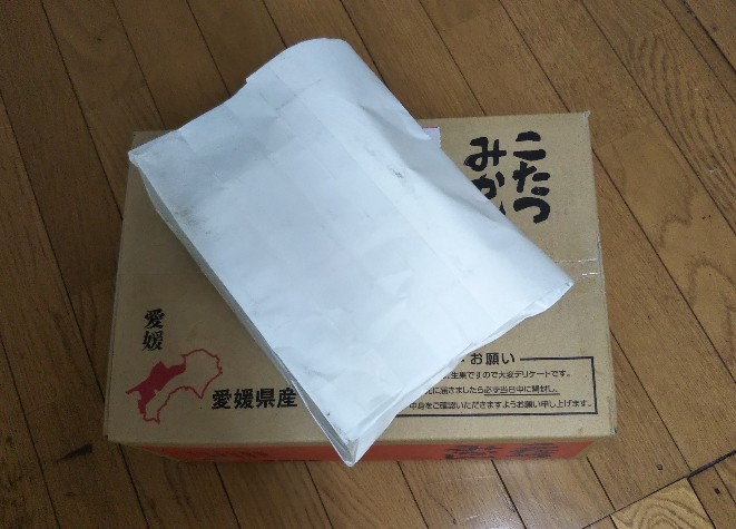 f:id:manmaruheart:20201229115338j:plain