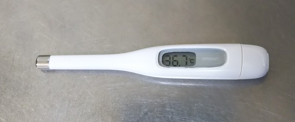 f:id:manmaruheart:20201230201627j:plain