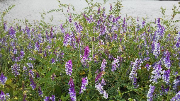 f:id:manmaruheart:20210512192717j:plain