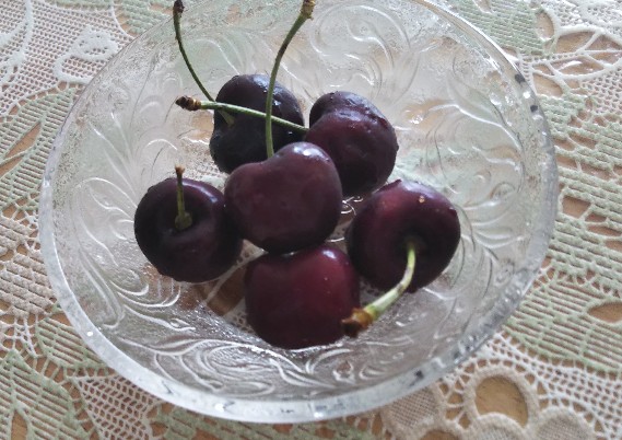 f:id:manmaruheart:20210608124237j:plain