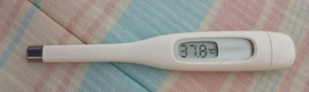 f:id:manmaruheart:20210701124210j:plain